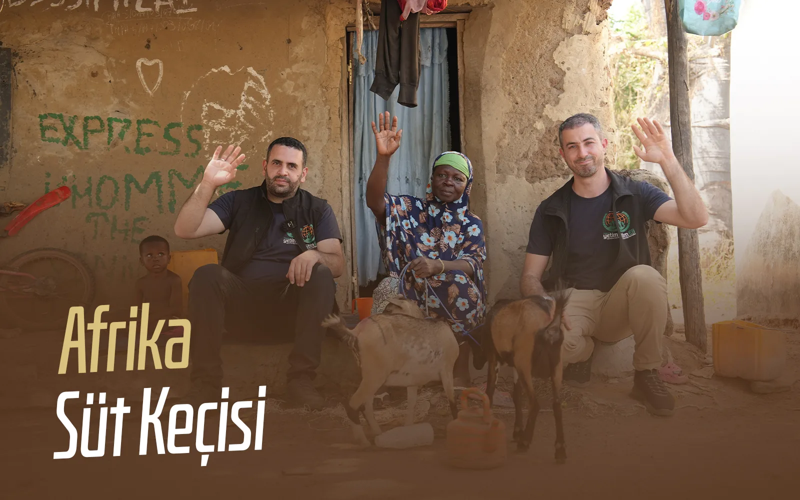 Milchziege — Afrika